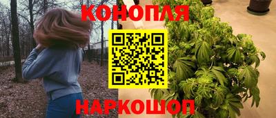 прущие грибы Малгобек