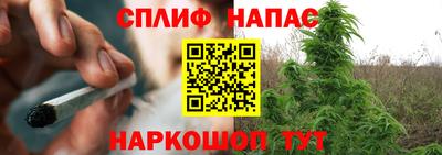прущие грибы Малгобек