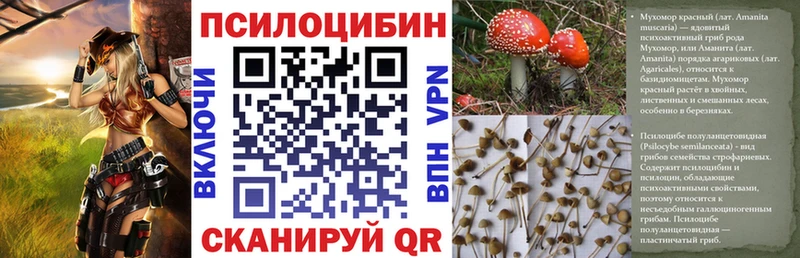 Галлюциногенные грибы Psilocybe  купить наркоту  ссылка на мегу ONION  Якутск 