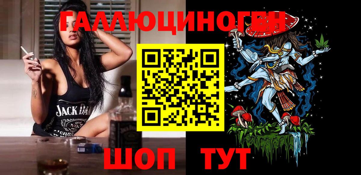 Псилоцибиновые грибы Psilocybine cubensis Якутск